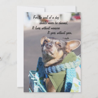 Seele eines Hundes - Chihuahua Feiertagskarte