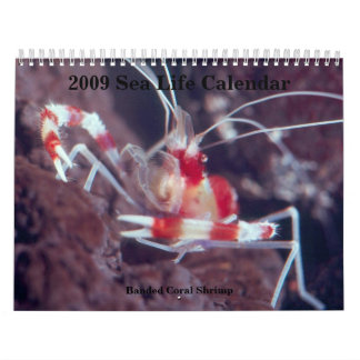 Seeleben-Kalender 2009,… Kalender
