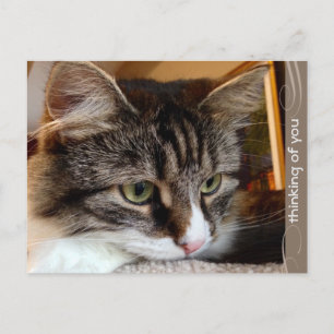 Seelenfürchtiges sibirisches Denken Sie an Sie Pos Postkarte