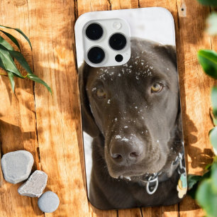 Seelenschnee-Sprinkled Schokolade Labrador Case-Ma Case-Mate iPhone Hülle