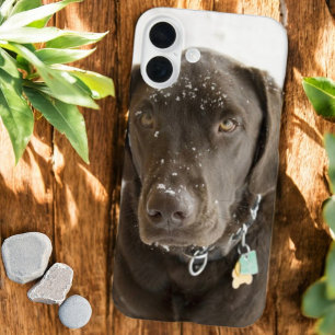 Seelenvolle Schokoladen-Labrador mit Schnee bestre iPhone 16 Plus Hülle