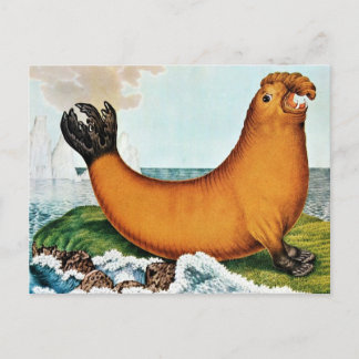 Seelephant Illustration (Zotl) Postkarte