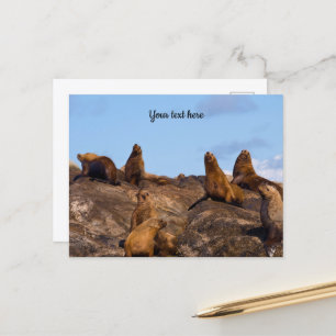 Seelion-Postkarte Postkarte