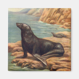 Seelöwe am Meeresufer, Vintage Meeres Säugetiere Magnet