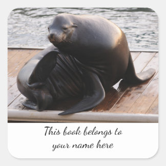 Seelöwe "Dieses Buch gehört" Aufkleber