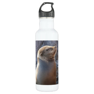 Seelöwe Edelstahlflasche