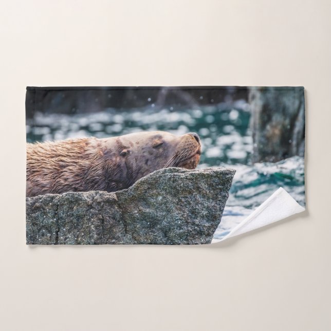 Seelöwe in der Auferstehungsbucht, Alaska Badhandtuch Set (Handtuch)