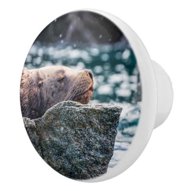 Seelöwe in der Auferstehungsbucht, Alaska Keramikknauf (Rechts)