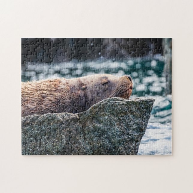 Seelöwe in der Auferstehungsbucht, Alaska Puzzle (Horizontal)