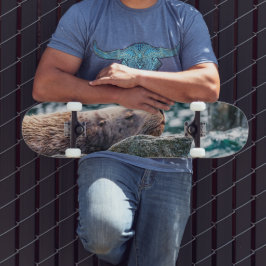 Seelöwe in der Auferstehungsbucht, Alaska Skateboard