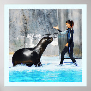 Seelöwe mit Trainer Poster