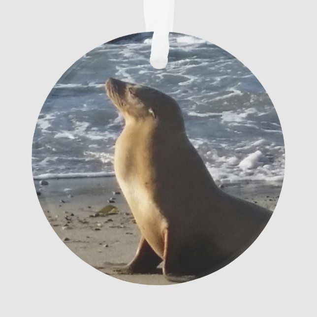 Seelöwe-Weihnachtsverzierung Ornament (Rückseite)