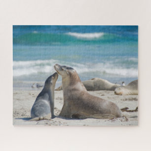 Seelöwen am Strand in Australien, 520 Stück Puzzle