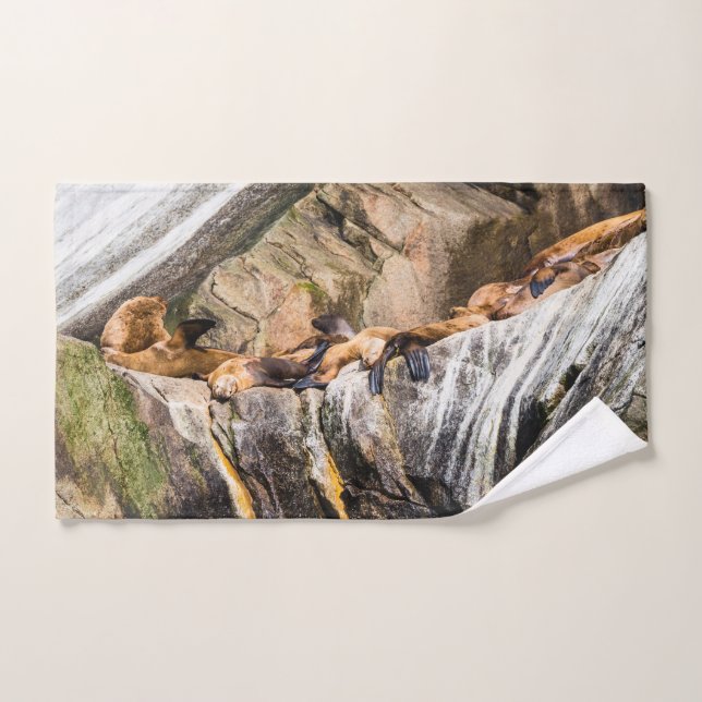 Seelöwen auf den Felsen Badhandtuch Set (Handtuch)