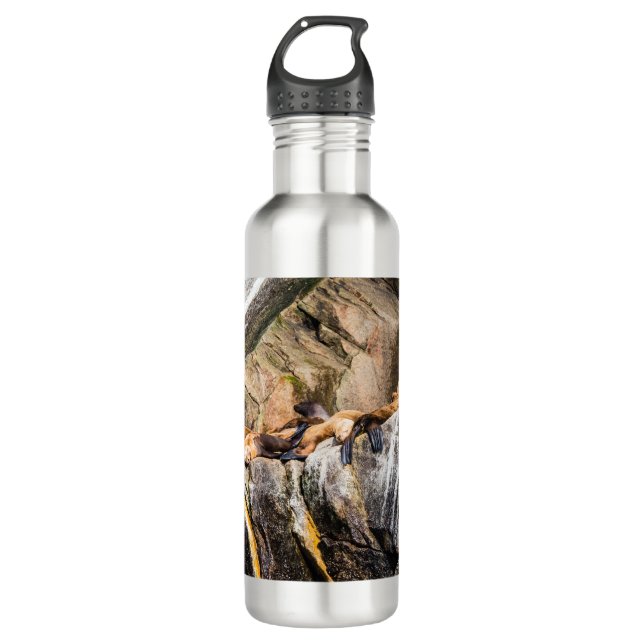 Seelöwen auf den Felsen Edelstahlflasche (Vorderseite)