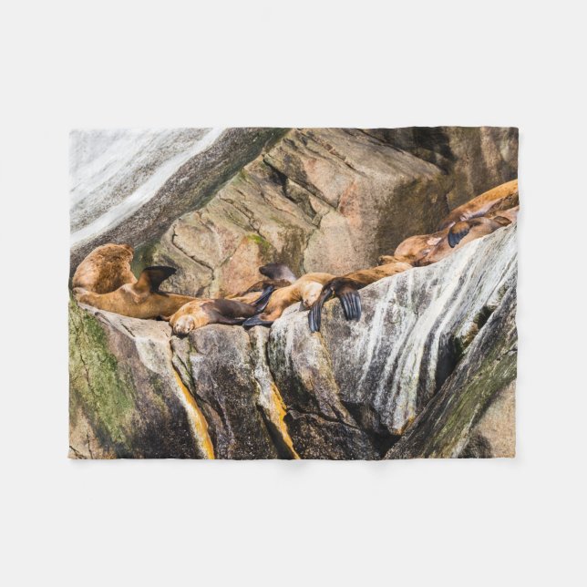 Seelöwen auf den Felsen Fleecedecke (Vorderseite (Horizontal))