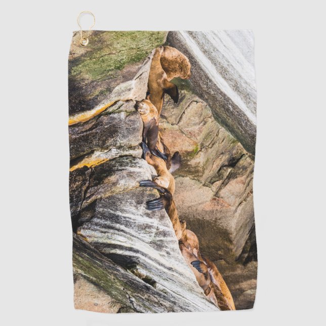 Seelöwen auf den Felsen Golfhandtuch (Vorderseite)