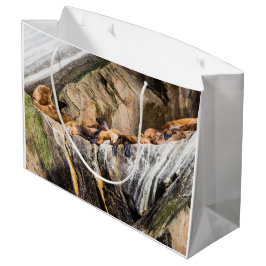 Seelöwen auf den Felsen Große Geschenktüte