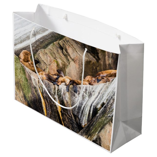Seelöwen auf den Felsen Große Geschenktüte (Rückseite Schrägansicht)