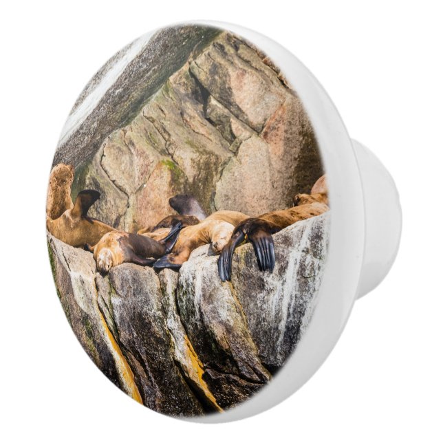 Seelöwen auf den Felsen Keramikknauf (Rechts)