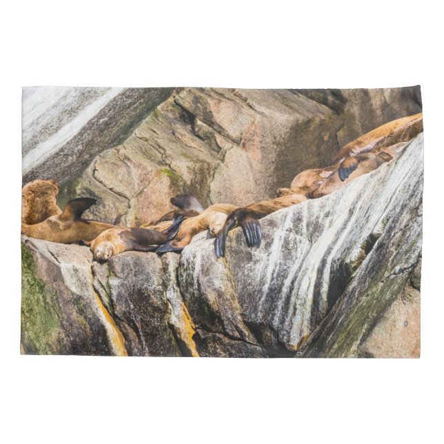 Seelöwen auf den Felsen Kissenbezug (Rückseite)