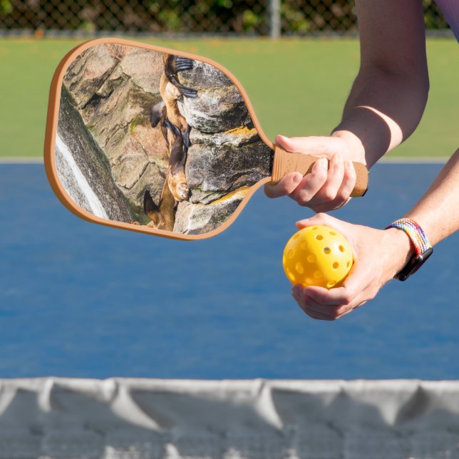 Seelöwen auf den Felsen Pickleball Schläger (InSitu)