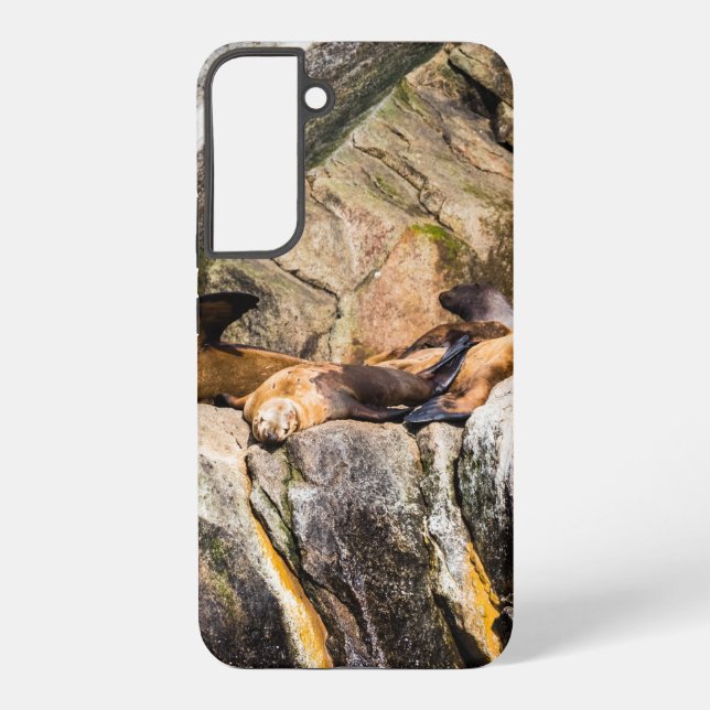 Seelöwen auf den Felsen Samsung Galaxy Hülle (Rückseite)