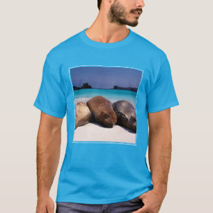 Seelöwen, die auf Strand   Ecuador schlafen T-Shirt