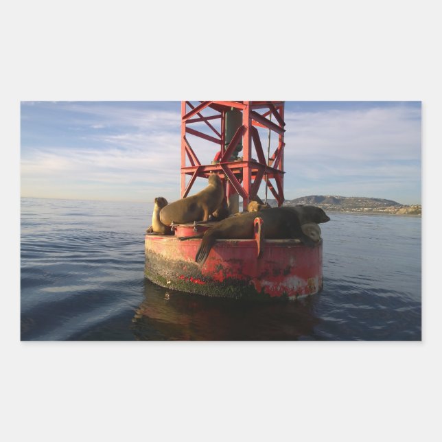 Seelöwen entspannen auf einem Boy in Dana Point Rechteckiger Aufkleber (Vorderseite)