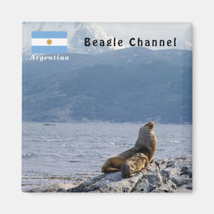 Seelöwen im Beagle-Kanal - Argentinien Magnet
