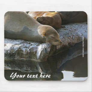 Seelöwen-Mauspad Mousepad