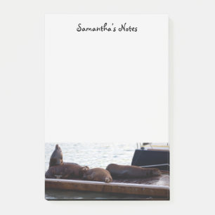 Seelöwen nach der Verabschiedung Post-it Klebezettel