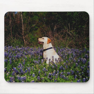 Seemann im Bluebonnets mousepad