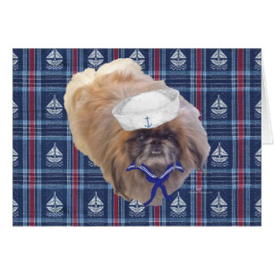 Seemann Pekingese