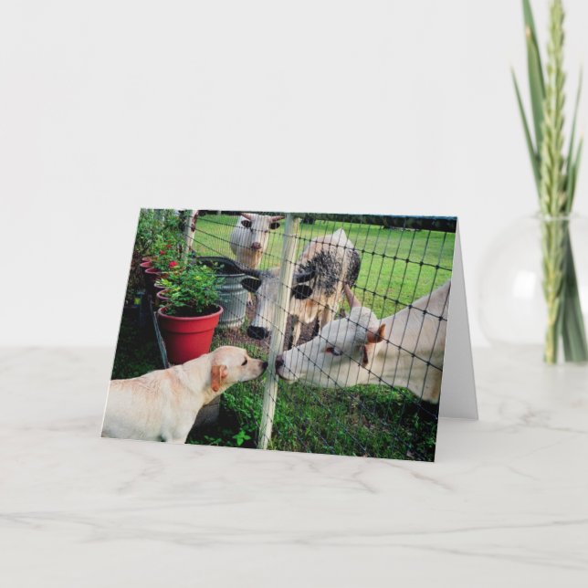 Seemann u. Kumpel Karte (Vorderseite)