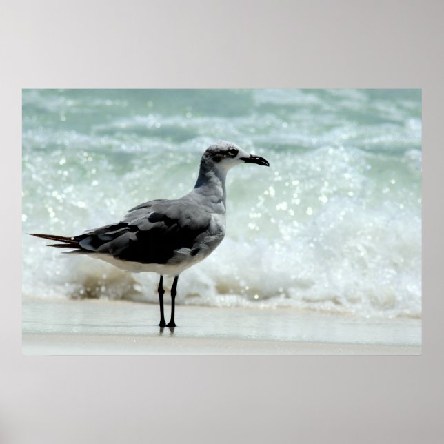 Seemannsplakat Poster (Vorne)