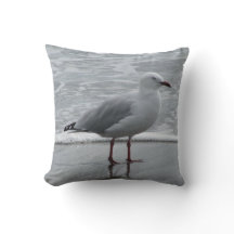 Seemöwe am Wasser-Rand