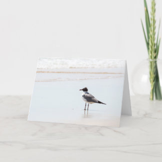 Seemöwe auf der Strand-Raum-Gruß-Karte Karte