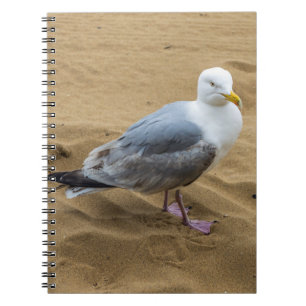Seemöwe auf einem Strandnotizbuch Notizblock