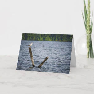 Seemöwe auf Posten-Gruß-Karte Karte
