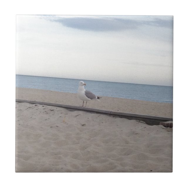 Seemöwe auf Strand Fliese (Vorderseite)