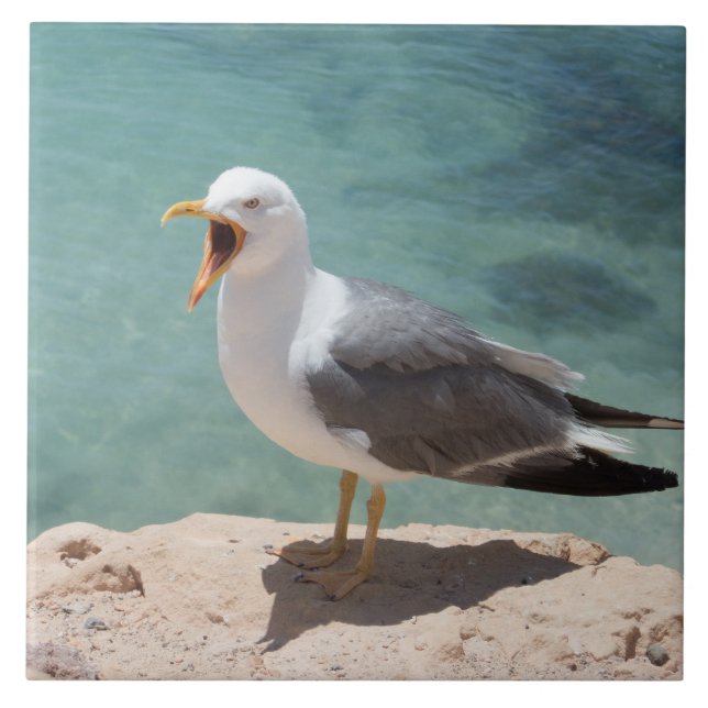 Seemöwe Fliese (Vorderseite)