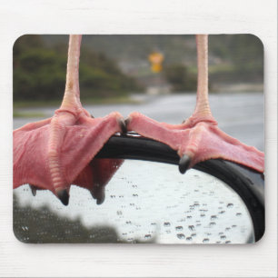 Seemöwe-Füße Mousepad