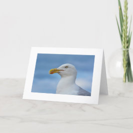 Seemöwe-Gruß-Karte Karte
