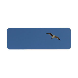 Seemöwe im Flug