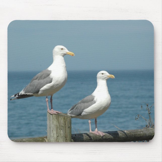 Seemöwe-Mausunterlage Mousepad (Vorne)
