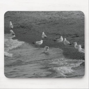 Seemöwe Mousepad