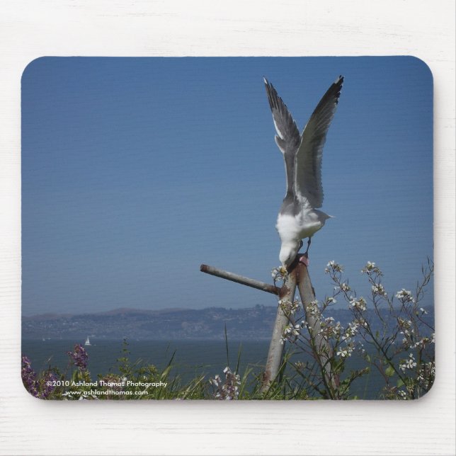 Seemöwe Mousepad (Vorne)
