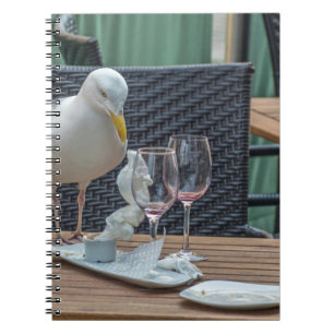 Seemöwe und leeres Glasnotizbuch Notizblock