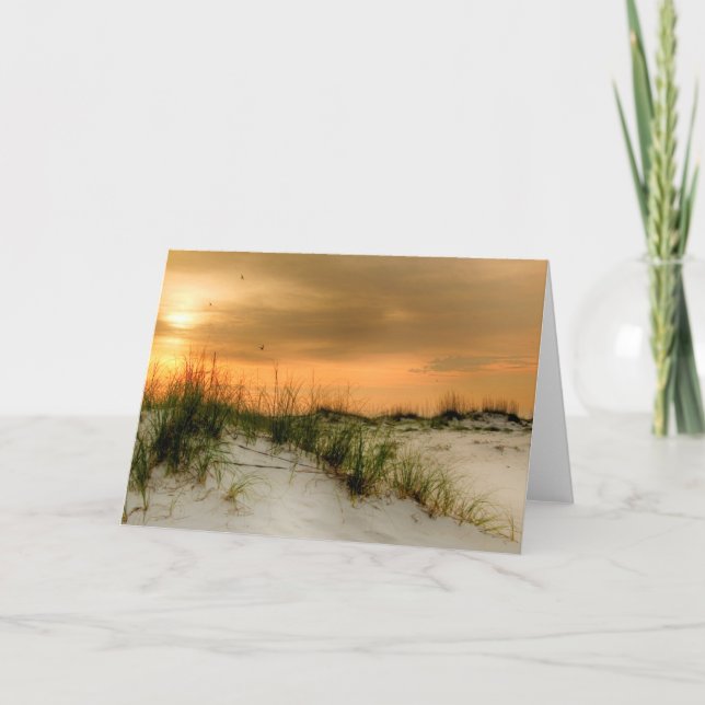 Seemöwen am Sonnenaufgang Karte (Vorderseite)